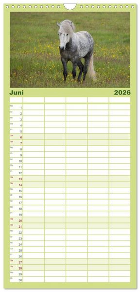 Produktbild: Familienplaner 2026 - Charakterk&ouml;pfe Islandpferde mit 5 Spalten (Wandkalender, 21 x 45 cm) CALVENDO