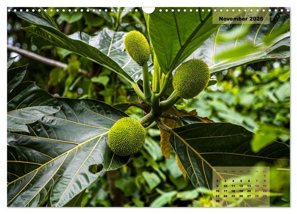 Produktbild: Fruits of Grenada (Wall Calendar 2026 DIN A3 landscape), CALVENDO 12 Month Wall Calendar
