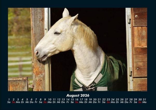 Produktbild: Die Welt der Pferde 2026 Fotokalender DIN A4