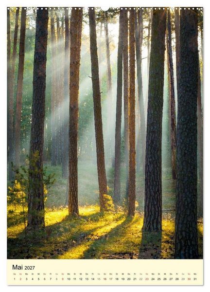 Produktbild: Der Harz - Malerische Orte (Wandkalender 2027 DIN A2 hoch), CALVENDO Monatskalender