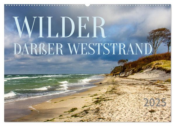 Wilder Darßer Weststrand (Wandkalender 2025 DIN A2 quer), CALVENDO Monatskalender