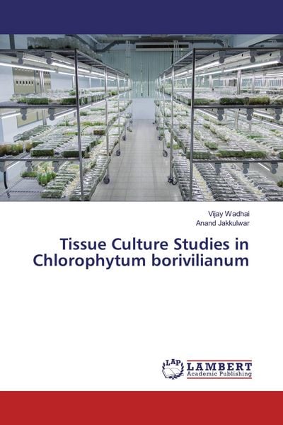 Produktbild: Tissue Culture Studies in Chlorophytum borivilianum