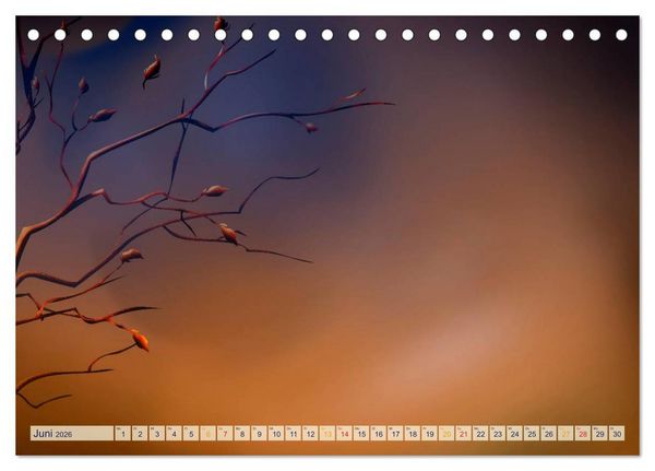 Produktbild: Kalender, Fotos selbst einkleben, selbst gestalten (Tischkalender 2026 DIN A5 quer), CALVENDO Monatskalender