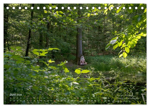 Produktbild: HAIKU AM TEICH (Tischkalender 2026 DIN A5 quer), CALVENDO Monatskalender