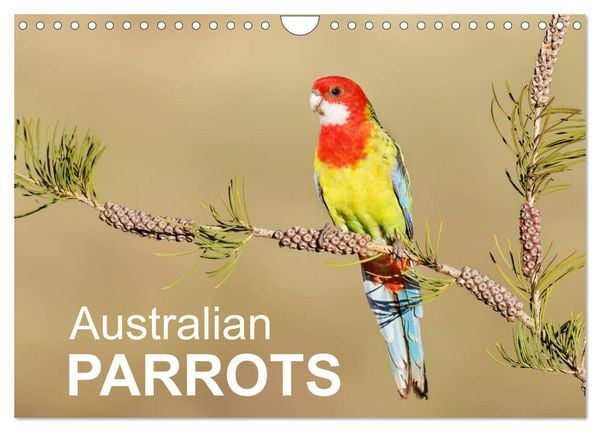 Australian Parrots (Wall Calendar 2026 DIN A4 landscape), CALVENDO 12 Month Wall Calendar