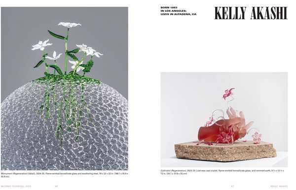 Produktbild: Whitney Biennial 2026