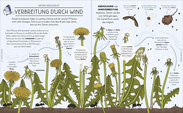 Der Natur-Erklärer