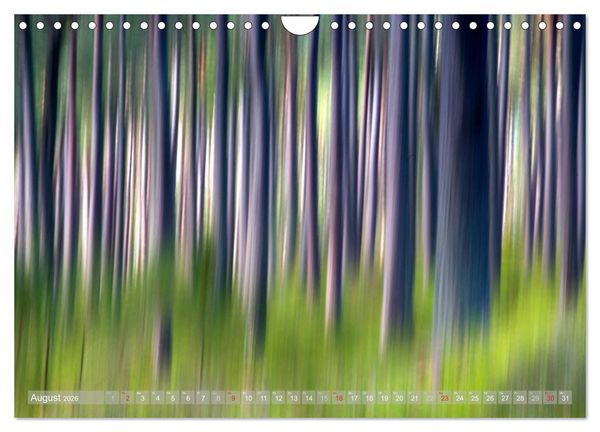 Produktbild: Atelier Wald - gemalt mit Licht (Wandkalender 2026 DIN A4 quer), CALVENDO Monatskalender