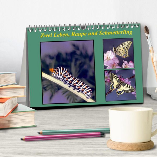 Produktbild: Zwei Leben, Raupe und Schmetterling (Tischkalender 2026 DIN A5 quer), CALVENDO Monatskalender