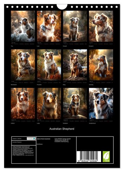Produktbild: Australian Shepherd (Wandkalender 2026 DIN A4 hoch), CALVENDO Monatskalender