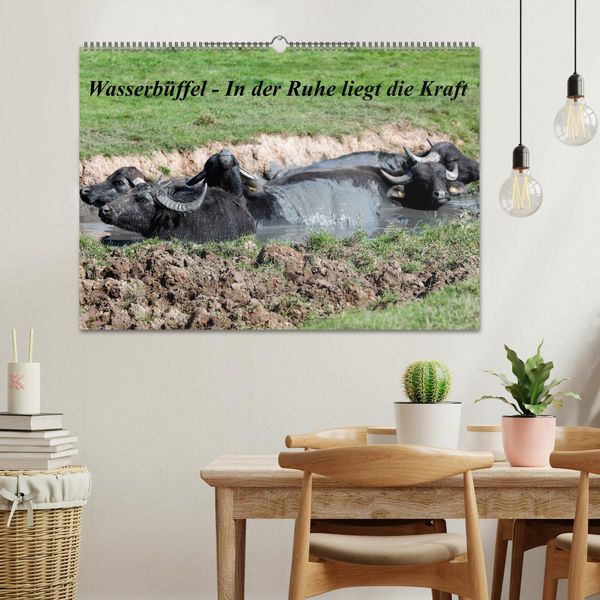 Produktbild: Wasserb&uuml;ffel - In der Ruhe liegt die Kraft (Wandkalender 2026 DIN A2 quer), CALVENDO Monatskalender