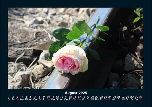 Produktbild: Rosentraum 2025 Fotokalender DIN A4