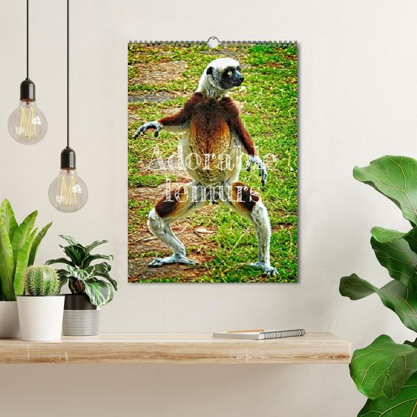 Produktbild: Adorable lemurs (Wall Calendar 2026 DIN A3 portrait), CALVENDO 12 Month Wall Calendar