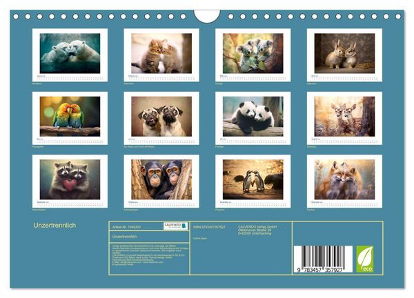 Produktbild: Unzertrennlich (Wandkalender 2026 DIN A4 quer), CALVENDO Monatskalender