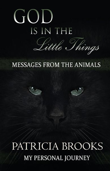 Produktbild: God is in the Little Things