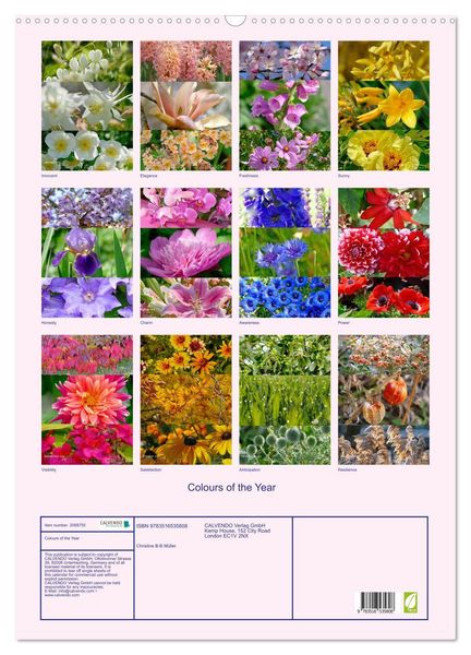 Produktbild: Colours of the Year (Wall Calendar 2026 DIN A2 portrait), CALVENDO 12 Month Wall Calendar