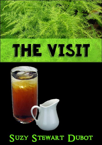 Produktbild: The Visit