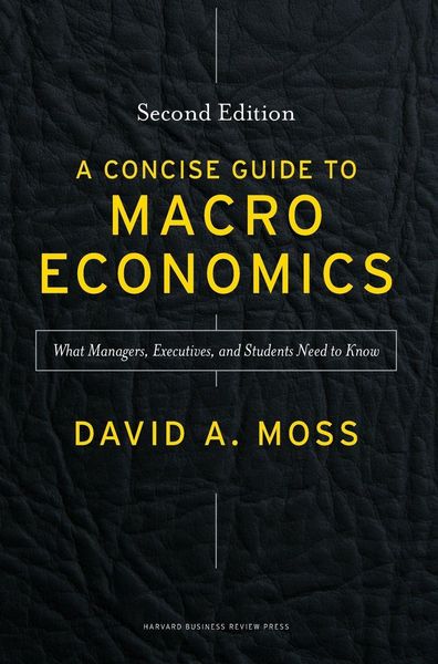 Produktbild: Concise Guide to Macroeconomics