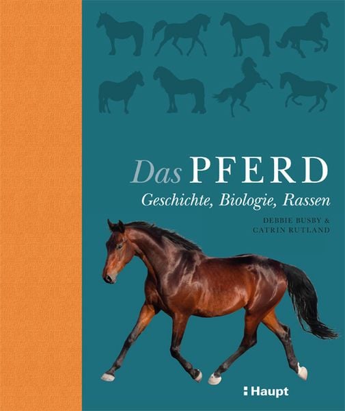 Produktbild: Das Pferd
