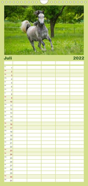 Produktbild: Welt der Pferde - Familienplaner hoch (Wandkalender 2022 , 21 cm x 45 cm, hoch)