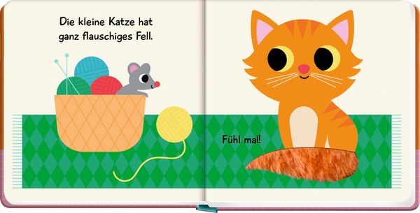 Produktbild: Mein F&uuml;hlbuch: Kleine Katze