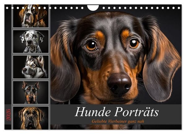 Hunde Porträts (Wandkalender 2026 DIN A4 quer), CALVENDO Monatskalender