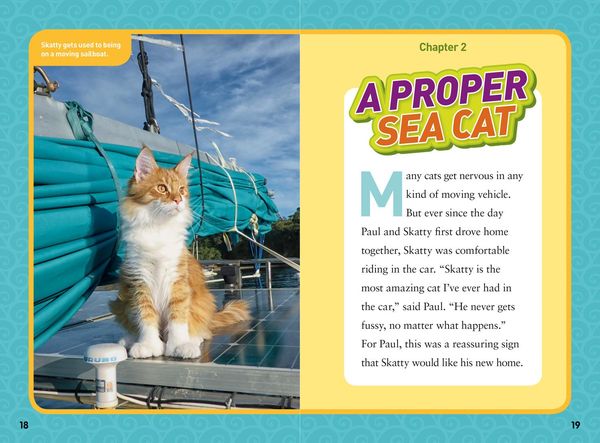 Produktbild: Adventure Cat!