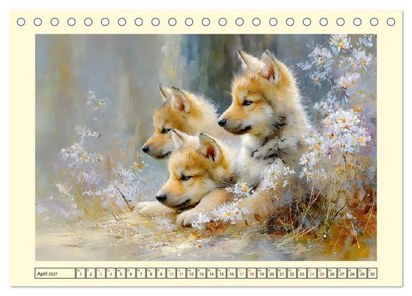 Produktbild: Waldseelen. Verspielte W&ouml;lfe im Licht der Natur (Tischkalender 2027 DIN A5 quer), CALVENDO Monatskalender