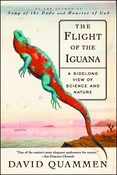 Produktbild: The Flight of the Iguana