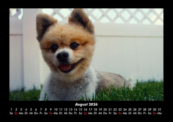 Produktbild: Der Hundekalender 2026 Fotokalender DIN A3