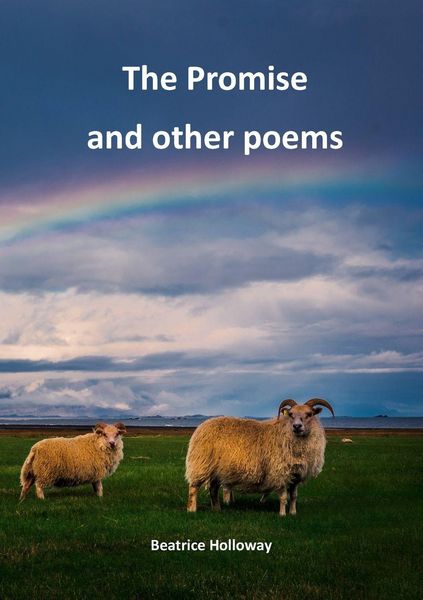 Produktbild: The Promise and Other Poems