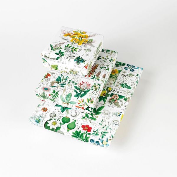Produktbild: Flora