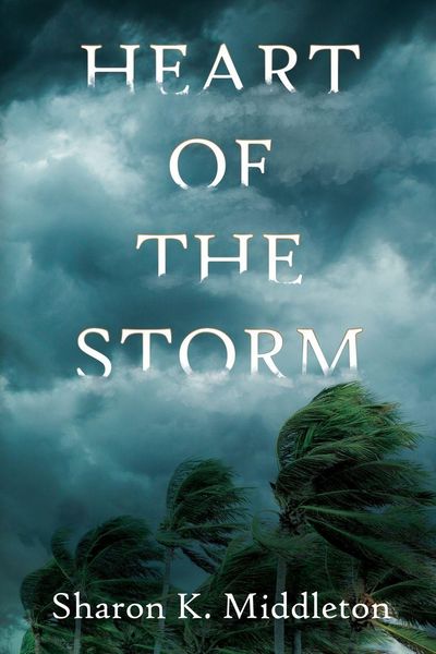 Produktbild: Heart of the Storm
