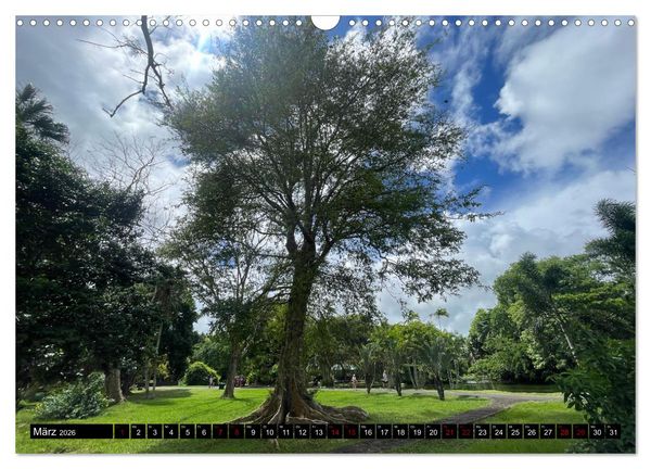 Produktbild: Mauritius Paradies im Indischen Ozean (Wandkalender 2026 DIN A3 quer), CALVENDO Monatskalender