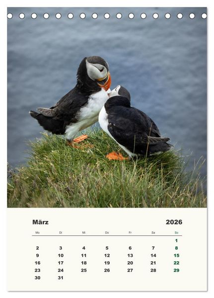Produktbild: Papageientaucher in Island (Tischkalender 2026 DIN A5 hoch), CALVENDO Monatskalender