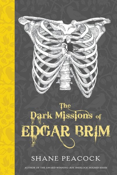 Produktbild: The Dark Missions of Edgar Brim