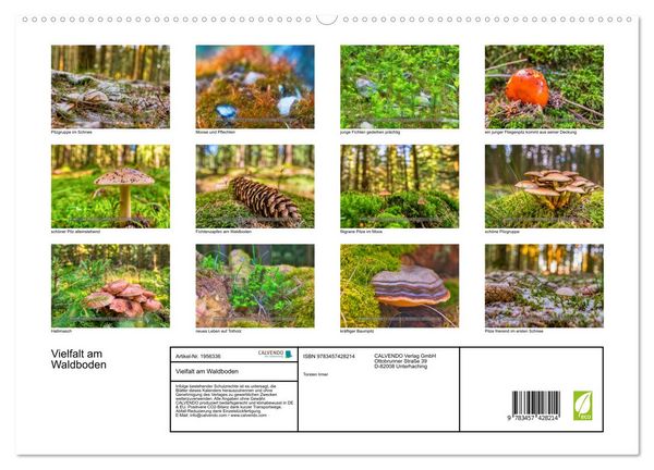 Produktbild: Vielfalt am Waldboden (hochwertiger Premium Wandkalender 2026 DIN A2 quer), Kunstdruck in Hochglanz