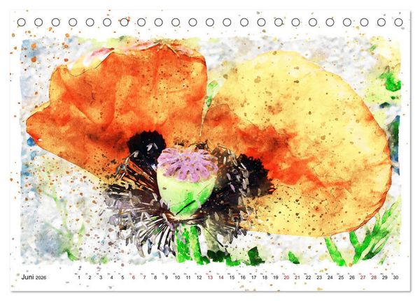 Produktbild: Mohnbl&uuml;ten in Aquarell (Tischkalender 2026 DIN A5 quer), CALVENDO Monatskalender