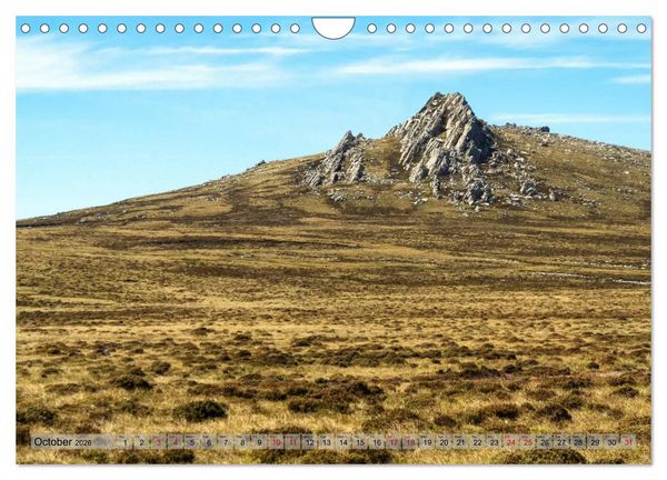 Produktbild: In the Falkland Islands (Wall Calendar 2026 DIN A4 landscape), CALVENDO 12 Month Wall Calendar