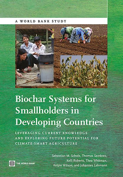 Produktbild: Biochar Systems for Smallholders in Developing Countries