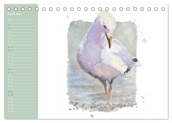 Produktbild: M&ouml;wen - Aquarelle von Julia Pasinski (Tischkalender 2027 DIN A5 quer), CALVENDO Monatskalender