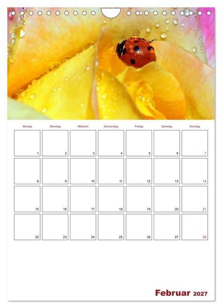 Produktbild: Marienk&auml;fergl&uuml;ck (Wandkalender 2027 DIN A4 hoch), CALVENDO Monatskalender