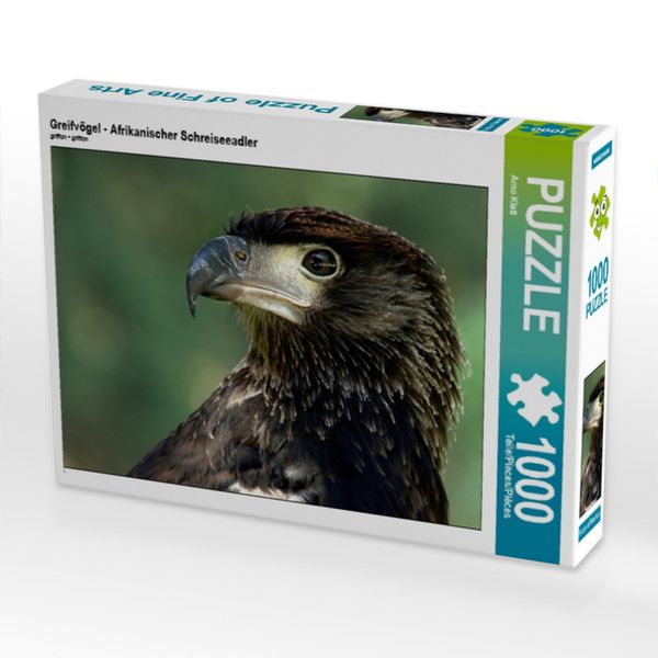 CALVENDO Puzzle Greifvögel - Afrikanischer Schreiseeadler | 1000 Teile Lege-Größe 64x48cm Foto-Puzzle für glückliche Stunden