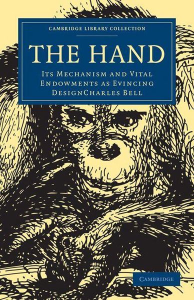 Produktbild: The Hand