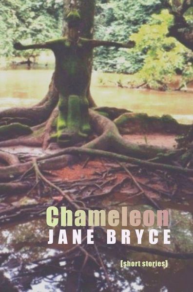 Produktbild: Chameleon