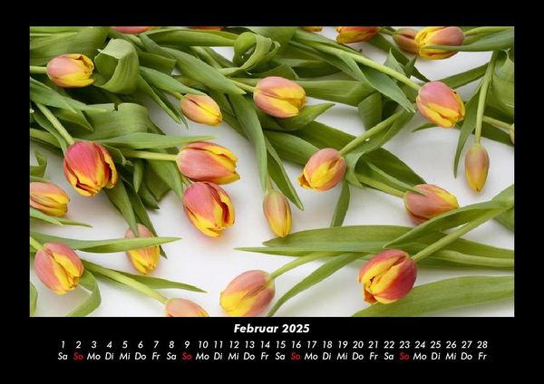 Produktbild: Blumenkalender 2025 Fotokalender DIN A3