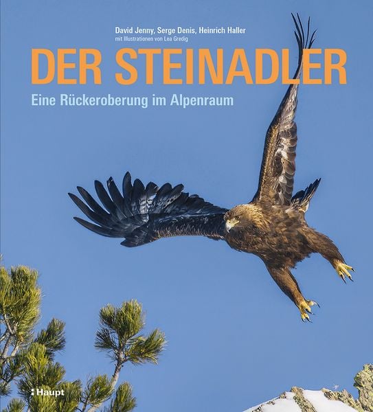 Produktbild: Der Steinadler