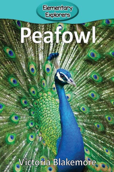 Produktbild: Peafowl