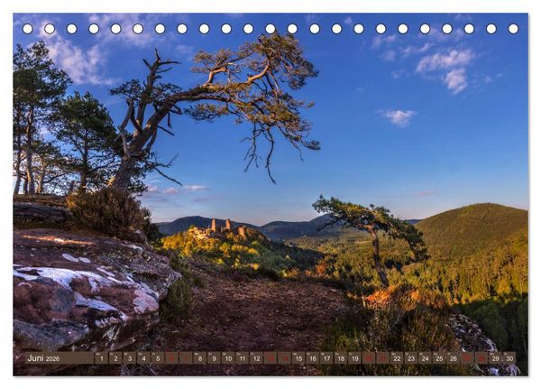Produktbild: Augenschmaus Pf&auml;lzer Wald (Tischkalender 2026 DIN A5 quer), CALVENDO Monatskalender
