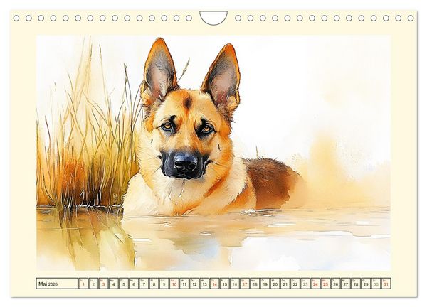 Produktbild: Deutsche Sch&auml;ferhunde. Majest&auml;tische W&auml;chter im Aquarell-Stil (Wandkalender 2026 DIN A4 quer), CALVENDO Monatskalender